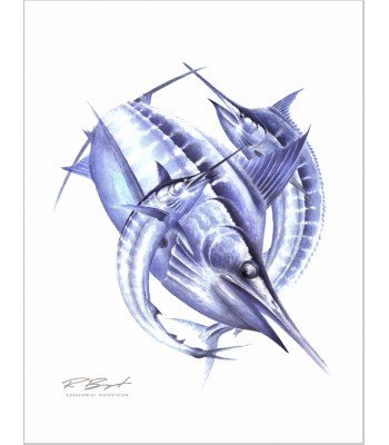 "Marlin Magic"